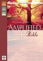 Amplified Large Print Bible-AM