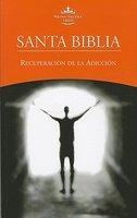 Santa Biblia Recuperacion De La Adiccion-Rvr 1960