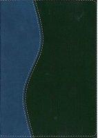 Spanish Bible-RV 1960