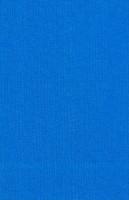 Scripta Didactica Et Polemica, Volumen V: Defensio Orthodoxae Fidei De Sacra Trinitate, Contra Prodigiosos Errores Michaelis Serueti Hispani