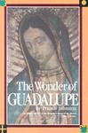 Wonder Of Guadalupe: