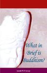 What In Brief Is Buddhism? What In Brief Is Buddhism?