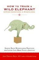 How To Train A Wild Elephant: And Other Adventures In Mindfulness How To Train A Wild Elephant: And Other Adventures In Mindfulness