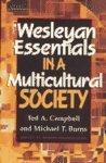 Wesleyan Essentials In A Multicultural Society Wesleyan Essentials In A Multicultural Society