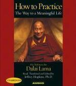 How To Practice 5cd's (unabridged) The Ways To A Meaningful Life How To Practice 5cd's (unabridged) The Ways To A Meaningful Life