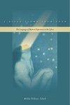 A River Flows From Eden: The Language Of Mystical Experience In The Zohar
