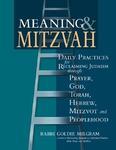 Meaning & Mitzvah: Reclaiming Judaism As A Spiritual Practice