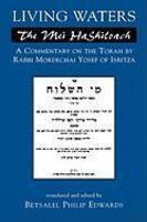 Living Waters: The Mei Hashiloach