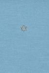 The Talmud Of The Land Of Israel, Volume 31: Sanhedrin And Makkot