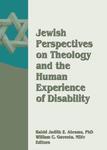 Jewish Perspectives On Theology And The Human Experience Of Disability Jewish Perspectives On Theology And The Human Experience Of Disability