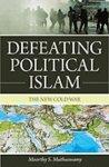 Defeating Political Islam :The New Cold War