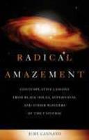 Radical Amazement: Contemplative Lessons From Black Holes, Supernovas, And Other Wonders Of The Universe