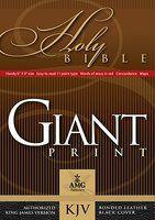 Giant Print Handy-Size Bible