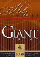Giant Print Bible-NASB-Handy-Size Giant Print Bible-NASB-Handy-Size