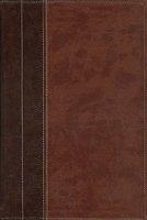 Archaeological Study Bible-NIV: An Illustrated Walk Through Biblical History And Culture Archaeological Study Bible-NIV: An Illustrated Walk Through Biblical History And Culture