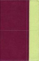 Study Bible-TNIV-Personal Size Study Bible-TNIV-Personal Size