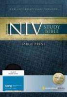 Study Bible-NIV-Large Print Study Bible-NIV-Large Print