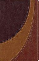 Case For Christ Study Bible-NIV: Investigating The Evidence For Belief Case For Christ Study Bible-NIV: Investigating The Evidence For Belief