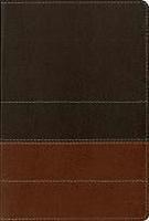 Study Bible-NIV Study Bible-NIV