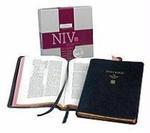 NIV Wide Margin Reference Edition Black Goatskin NI206WM
