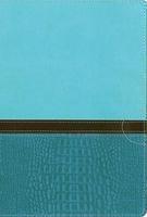 NIV Study Bible, Large Print NIV Study Bible, Large Print