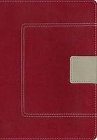 NIV Study Bible, Compact NIV Study Bible, Compact