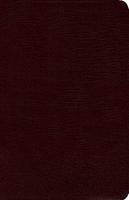 NIV Study Bible, Personal Size NIV Study Bible, Personal Size