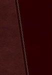 Study Bible-NKJV [With CDROM]