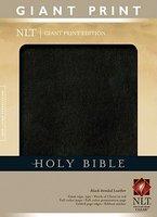 Giant Print Bible-NLT Giant Print Bible-NLT