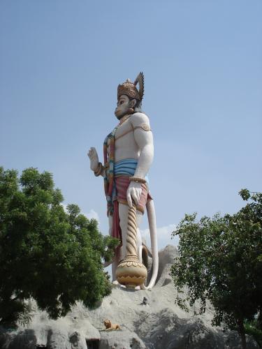 Hanuman ji Agroha Dham