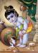 Young Krishna