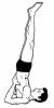 Sarvagasana ( Shoulder Stand Pose)