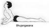 Bhujangasana ( Cobra Pose )