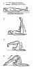 Halasana ( Plough Pose ) :