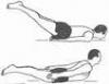 Shalabhasana ( Locust Pose )