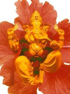 Ganpati Bappa Mobile Wallpaper