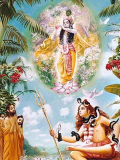 240x320 mobile wallpapers|Shiva With Krishna Wallpaper