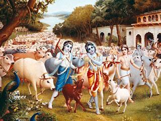 Krishna with Cows Mobile Wallpaper