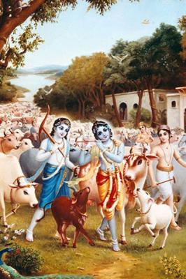 Krishna with Cows Mobile Wallpaper