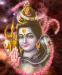 Lord Shiva Wallpaper...