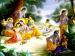 Lord Radha & Krishna Raslila wallpaper............