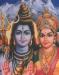 Shiva Parvati Mobile Wallpaper