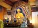 Gautam Buddha in Mclodganj Mobile Wallpaper