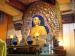 Gautam Buddha i...