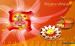 Diwali Greetings  HD wallpaper